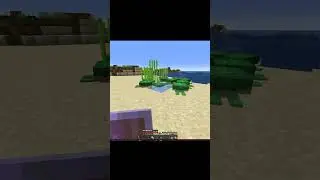 Turtle Party #gaming #gameplay #minecraft #bedrock #java #pc #xbox #xbone #ps4 #ps5 #seriesx