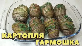 КАРТОПЛЯ ГАРМОШКА В ДУХОВЦІ 🥔 ПРОСТО ТА СМАЧНО 😋