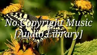 Jingle_Bells_Instrumental || [No Copyright Music]