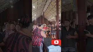 Real Kapa Haka Dance  