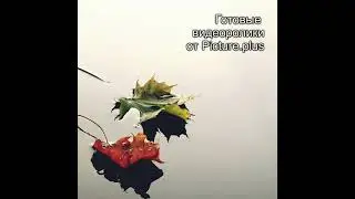 Для осеннего настроения