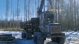 Практика на форвардере УЦ Спецкадр