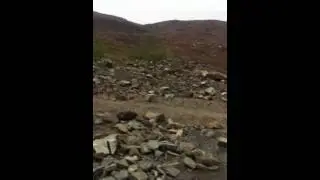 Виды вблизи города Заполярный)