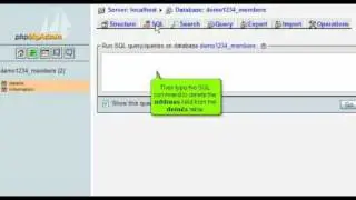 Running SQL Query on databases with phpMyAdmin