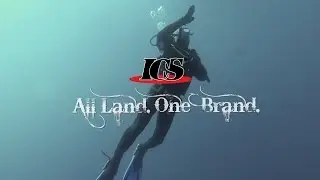 ICS 
