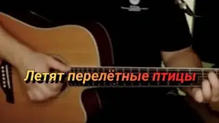 Летят перелётные птицы #акустика #военныепесни
