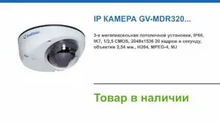 IP камера GV-MDR320 купить в магазине