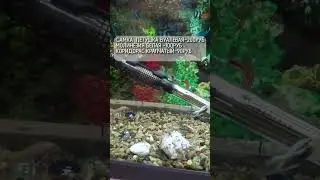 22 декабря 2023 г.