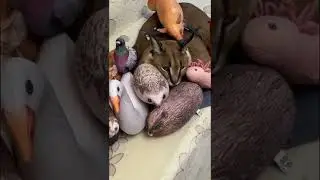 БОЛЬШОЙ ШЛЕПА: ОБНОВЛЕНИЕ СТИКЕРПАКА