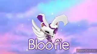 Bloofie Intro