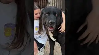 АЛАБАЙ КАЙФОВЩИК