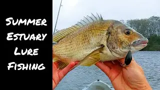Five Species on Lure in Secluded Estuary | Kayak Fishing Far South Coast