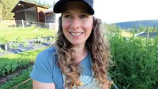 Harvest Day | Greenhouse Pruning, Peony Jelly and Fermenting Garlic Scapes