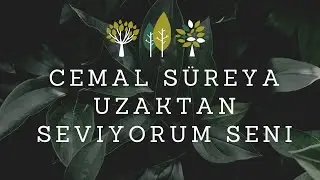 Uzaktan seviyorum seni | Cemal Süreya