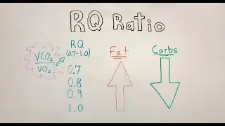 RQ RATIO