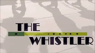 Tin Whistle Jigs - Two Hour Compilation (The Whistler)