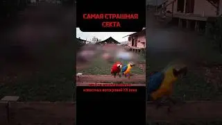 918 жертв за один день #shorts #трукрайм