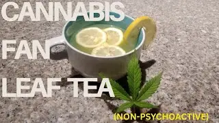 How to Make Cannabis Leaf Tea | Easy Herbal Recipe (EDIBLES SERIES) 