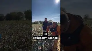 #геотрофи