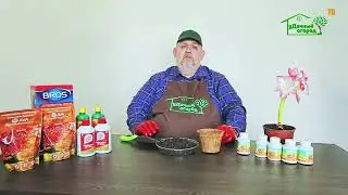 Как повысить всхожесть семян  Внося весеннее удобрение!