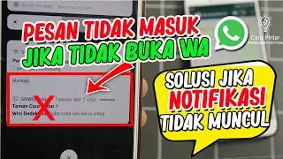 WA Notifications Not Appearing and Not Sounding?
