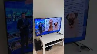 ОСКАР И ДЖОНИ ПОПАЛИ В ПОЛИЦИЮ - 1 ЧАСТЬ 