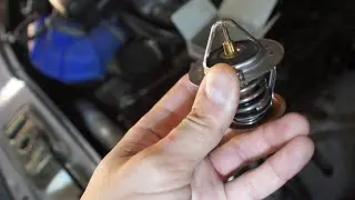 Термостат TAMA для моторов ЗМЗ(Газ,Уаз) WV64MC82
