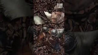 #история