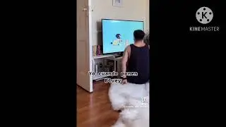 Guy watches bluey intro (instrumental)