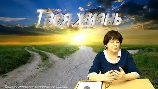 Школа Разума 6. Твой выбор
