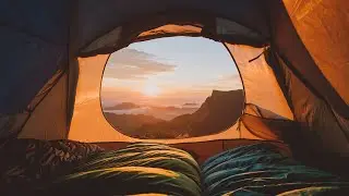 A Trip Around The World