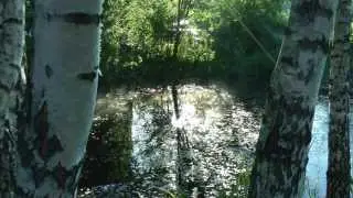 Станцыя "Асіна".  Садовае таварыства "Мастак"