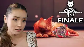 Stray ENDING Finale | Gameplay Walkthrough Playthrough Reactions PS5 4K60