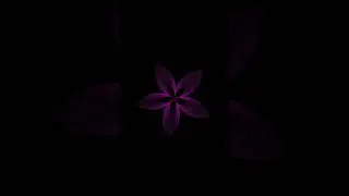 Python turtle graphic project 05 with source code |SL Android 