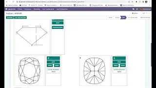 Video Guide
