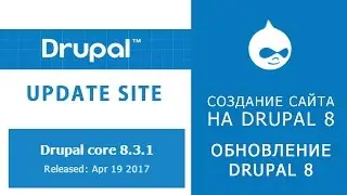 THE WEBSITE ON DRUPAL 8. How to update Drupal 8?