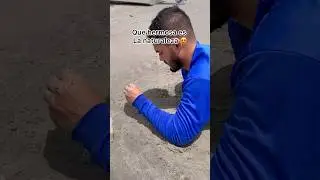 🙈🐚🌊