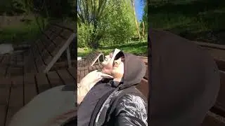 Ленивый ДЕНЬ 