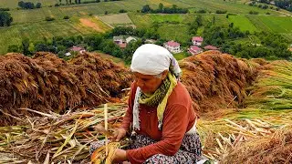TOKAT Niksar Ormancık Village (Village that produces brooms!)