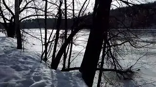 Не слышны шорохи... 