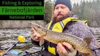 Kayaking & Fishing in Färnebofjärdens National Park