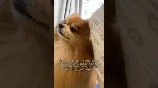 До конца😄