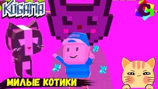 Кошачий паркур в Когама. Гладим котиков