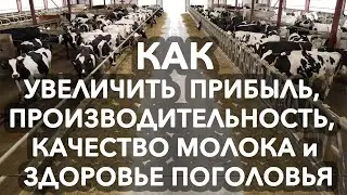 История успеха предприятия «Агро-Нептун»