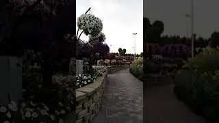 Miracle garden part 8