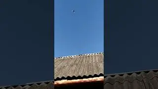 Малыш набирает игру!
