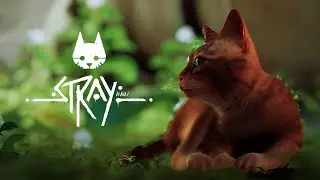 СИМУЛЯТОР КОТИКА | Stray #1