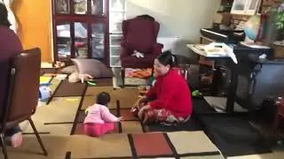 Video pawl1kepna
