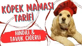 Kopek Maması Tarifi (EV YAPIMI)