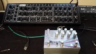 Behringer Pro 1 & Empress Effects Reverb